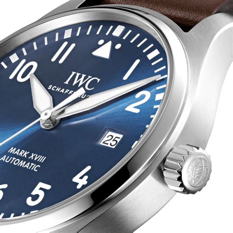 ceas iwc schaffhausen|schaffhausen watches.